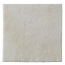 Coloplast Biatain Ag Calcium Alginate Dressing with Silver, 6 x 6 Inch (10/BX) 