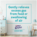 Little Remedies for Tummys Simethicone Antigas Gas Relief Drops (Each)