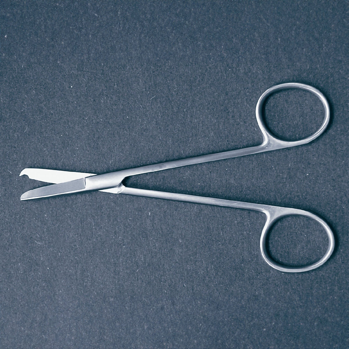 Stitch Scissors McKesson Argent Littauer 5-1/2 Inch Length Surgical Grade Stainless Steel NonSterile Finger Ring Handle Straight Blunt Tip / Blunt Tip (Each)