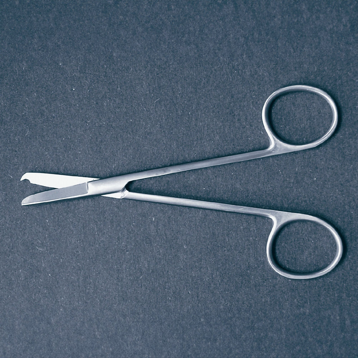 Stitch Scissors McKesson Littauer 4-1/2 Inch Length Office Grade Stainless Steel NonSterile Finger Ring Handle Straight Blunt Tip / Blunt Tip (Each)