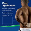 Salonpas Hot Capsaicin Topical Pain Relief (3/CT)