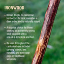 Brazos Ironwood Rustic Walking Stick, 48-Inch Height (Each)