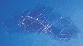 Erie Scientific Cover Glass, 22 x 22 mm (Box of 10)