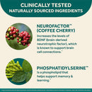Brain Health Supplement neuriva Coffee Fruit Extract (Coffea arabica) / Phosphatidylserine 100 mg - 100 mg Strength Capsule 30 per Bottle