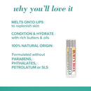 Lip Balm Burt's Bees Ultra Conditioning 0.15 oz. Balm Tube Kokum Butter Flavor (Carton of 6)