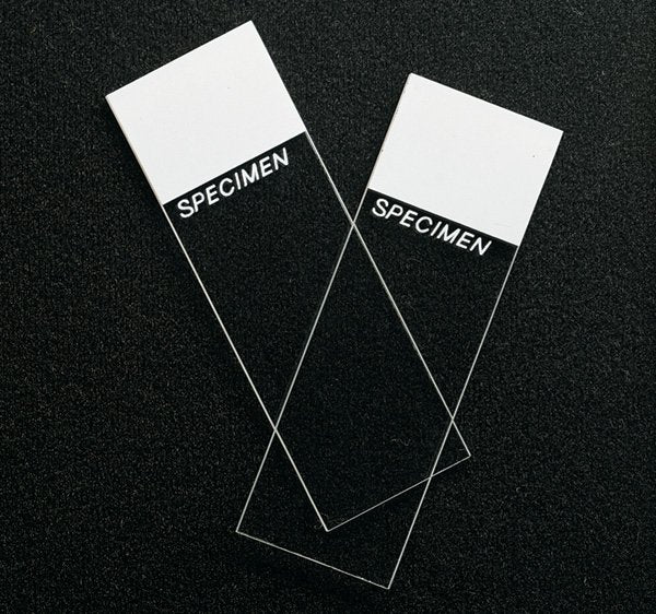 SP Superfrost Microscope Slide (Case of 1440)