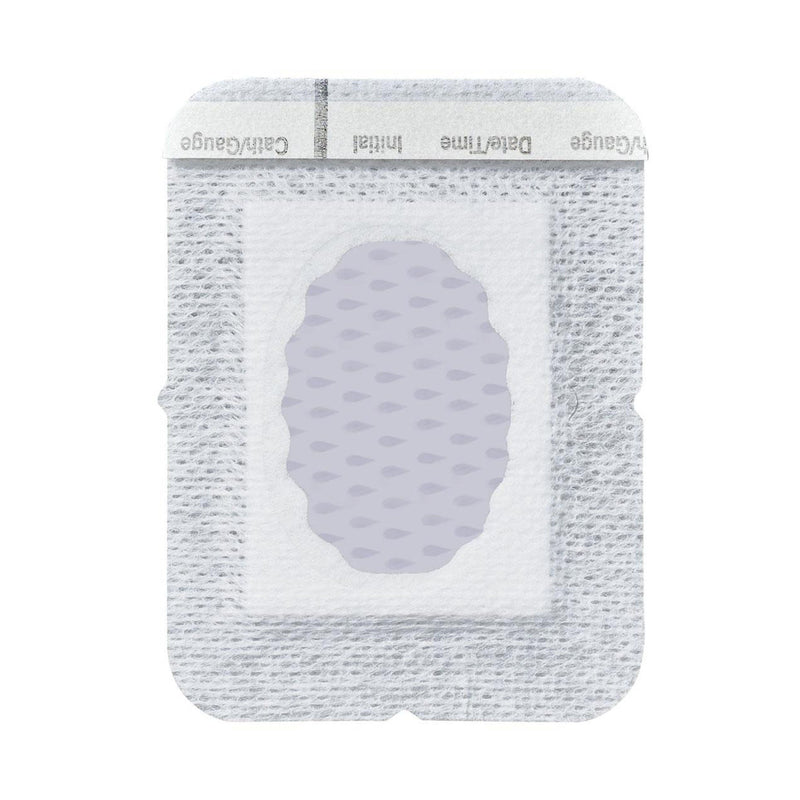 SorbaView IV Dressing (Case of 100)