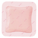 Allevyn Gentle Border Foam Dressing, 10 x 10 Centimeter (Box of 10)