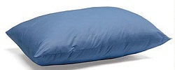 Encompass Group Pillow Factory Revolutionary Care Patient Head Support