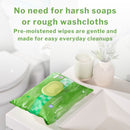 McKesson Brand McKesson Flushable* Wet Wipes XL - Unscented, 96 Wet Wipes per Pack (576/CS) 