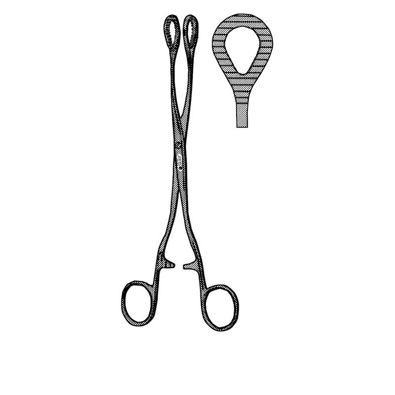 Sklar Heywood-Smith Rectum Forceps - 80-3855