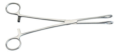 Graham-Field Foerster Sponge Forceps  Foerster Sponge Forceps - Serrated, 9 1/2"