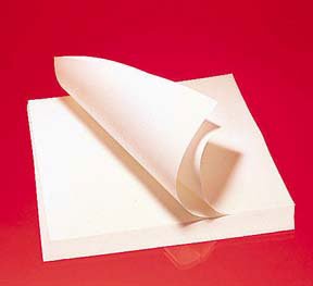 Fisher Anatomical Fisherbrand Qualitative Grade Plain Filter Paper Circles (100/PK) 