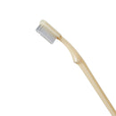 McKesson Toothbrush, Ivory, Medium, Curved Handle (Case of 1440)
