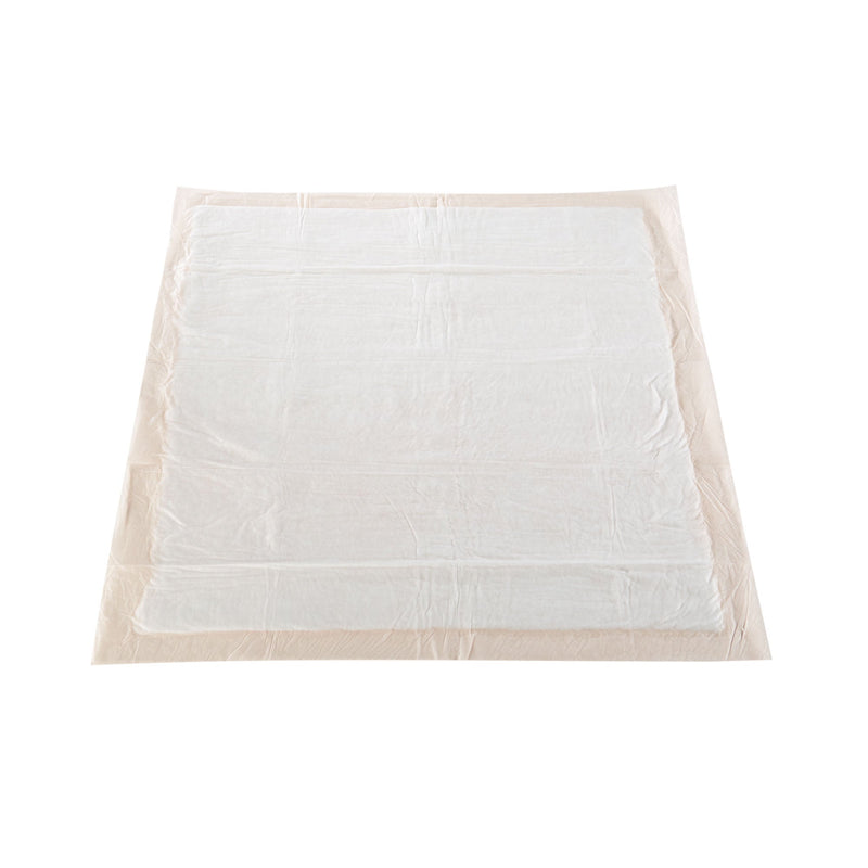 McKesson Ultra Heavy Absorbency Underpad, 30 x 30 Inch (10/BG)