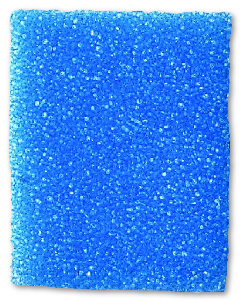 StatLab Medical Products Biopsy Sponge For Securing Small Specimens During Processing (1000/CS) 