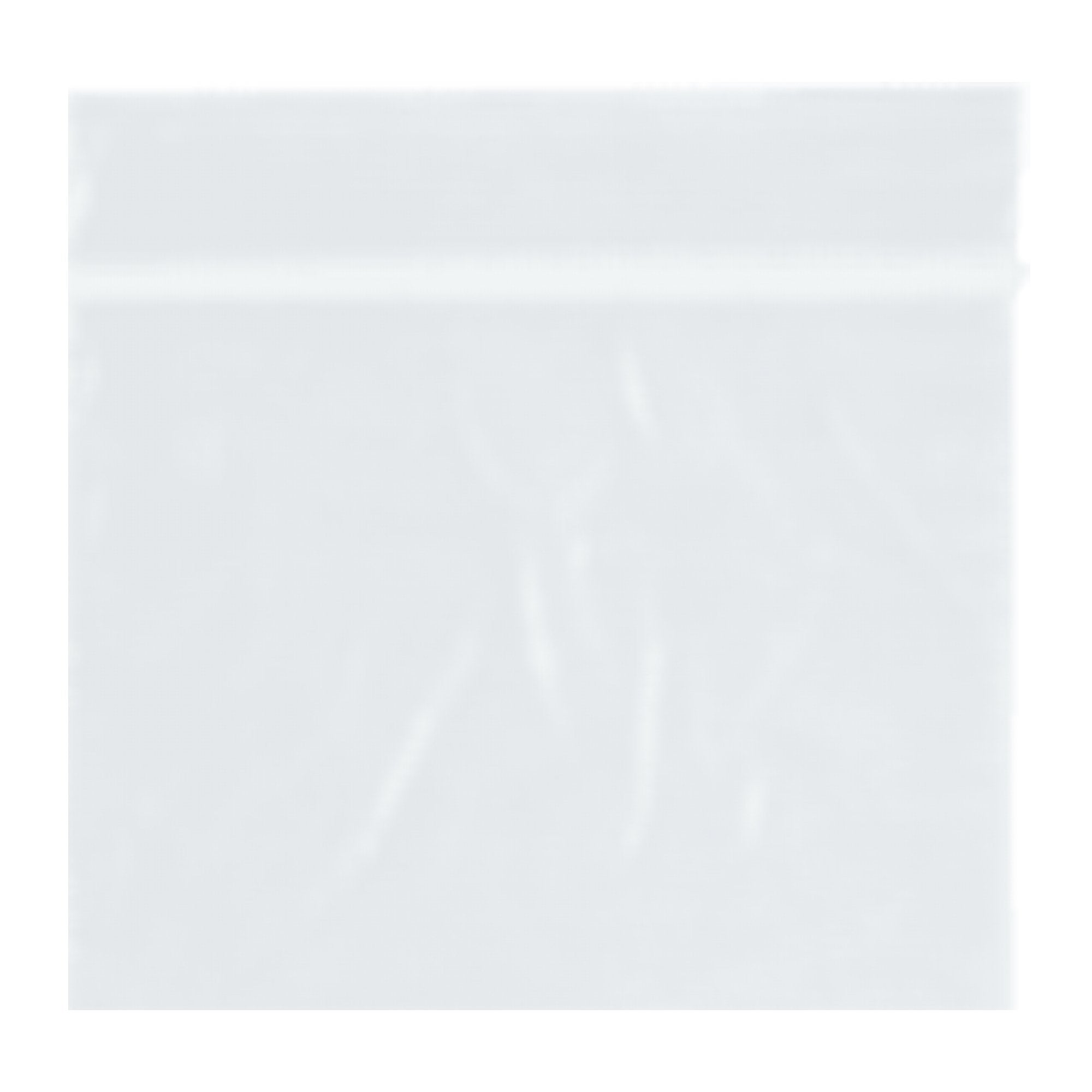 ASP Global LLC RD Plastics Company Reclosable Zip Bags, Clear, 2 x 2 in. (1000/CS) 