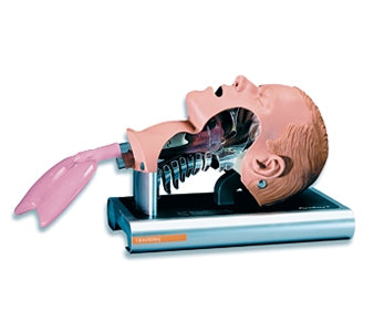 Intubation Trainer Ambu 