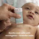 Fridababy LLC frida baby Sick Day Prep Kit, NoseFrida + Filters, Accu-Dose, Wipes & Vapor Rub (8/CS) 