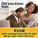 Xyzal Allergy 24 HR Tablets (Bottle of 35)