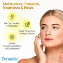 DermaPhor Unscented Moisturizing Ointment, 3.75 oz. Tube