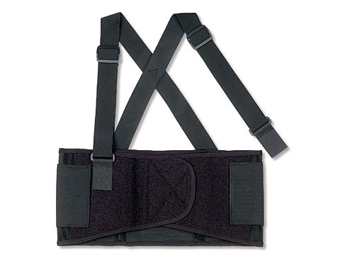 Ergodyne ProFlex 1650 Back Support, Medium 