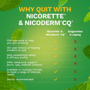 Nicorette Stop Smoking Aid Gum 4 mg Spearmint Burst with a Hint of Chamomile (Carton of 100)