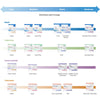 McKesson Nonsterile Blue Procedure Underpad, 17 x 24 Inch (Case of 300)