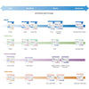 McKesson Nonsterile Blue Procedure Underpad, 17 x 24 Inch (6/CS)
