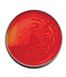 PLATE AGAR SOY TSA II 100/PK(SHORT DATED)