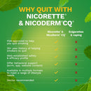 Nicorette Stop Smoking Aid Gum 4 mg Spearmint Burst with a Hint of Chamomile (100/CT) 