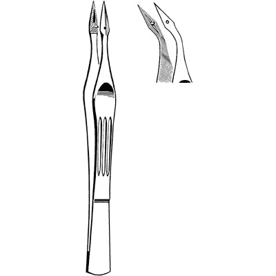 Merit Carmalt Splinter Forceps - 4-1/4", Straight - 97-793