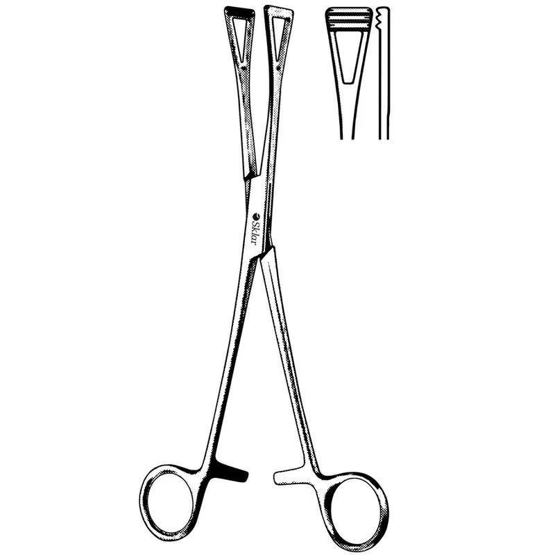 Sklar Scheibe Organ Seizing Forceps 7" - 36-2615