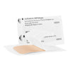 McKesson Tan Adhesive Strip, 2 x 4 Inch (Case of 1200)