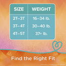 Female Toddler Training Pants Pampers Easy Ups Pull On with Tear Away Seams Size 2T to 3T Disposable Moderate Absorbency (Case of 100)