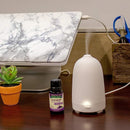 Piping Rock Health Products Nature's Truth Ultrasonic Essential Oil Mini Diffuser 