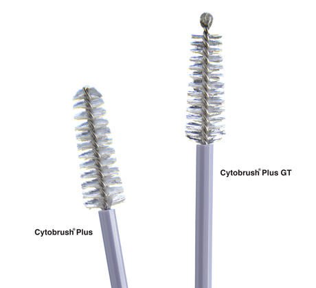 Medscand Cytobrush Plus GT Cytology Brush, 196 mm Length (Box of 2500)