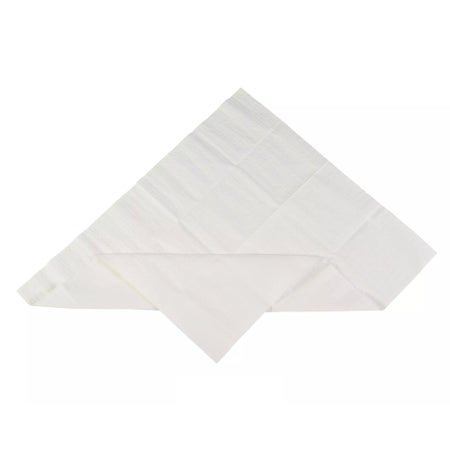LINER TRAY PAPER ABSORBENT23X19.5 50/BG 8BG/CS