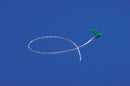 KIT GASTROSTOMY NUTRIPORTBALL SLG 14FRX1.7CM 1/CT