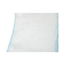 Secure Personal Care Products TotalDry Moderate Extra Absorbency Bladder Control Pad, 4 x 13 Inch (180/CS) 