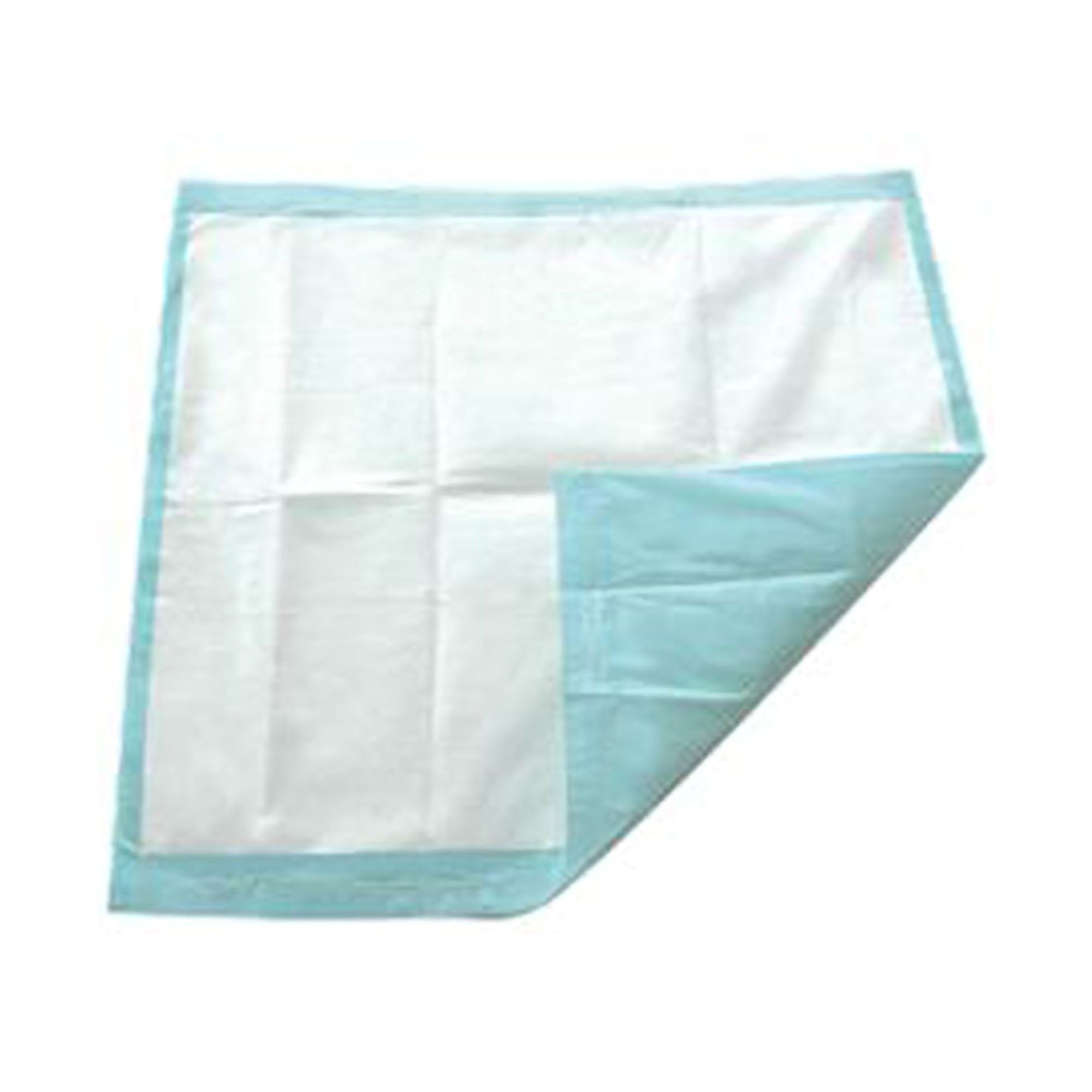 Secure Personal Care Products TotalDry Incontinence Underpads, Light Absorbency, Blue 30 x 30 Inch (120/CS) 