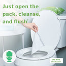 McKesson Brand McKesson Flushable* Wet Wipes - Scented, 48 Wet Wipes per Pack (576/CS) 