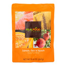 Real Food Blends Salmon, Oats & Squash Puree for Tube Feeding, 9.4-ounce pouch (Case of 12)