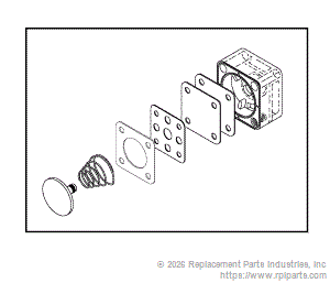 RPI ADK153 White Valve Body Repair Kit 