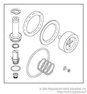 RPI AMK087 Solenoid Valve Repair Kit For 1” Port Valves 