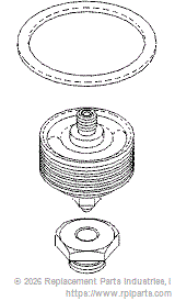 RPI AMK188 Steam Trap Repair Kit 