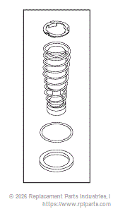 RPI AMK219 Solenoid Valve Repair Kit 