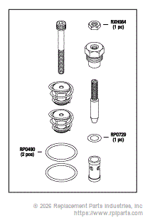 RPI AMK225 Check Valve & Flow Control Kit 
