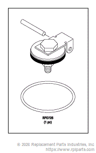 RPI AMK227 Check Valve Repair Kit 