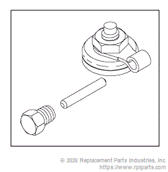 RPI AMK230 Check Valve Rebuild Kit (1/4") 